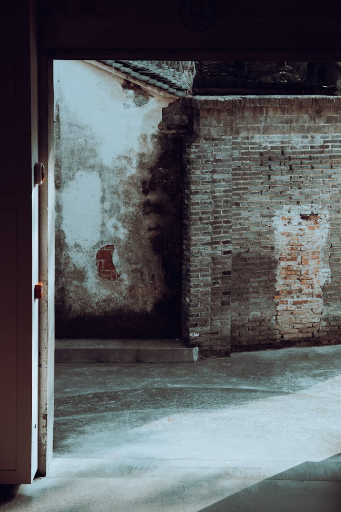 View through an empty doorway of an abandoned building with textured brick and concrete walls.